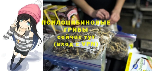 гашик Киреевск